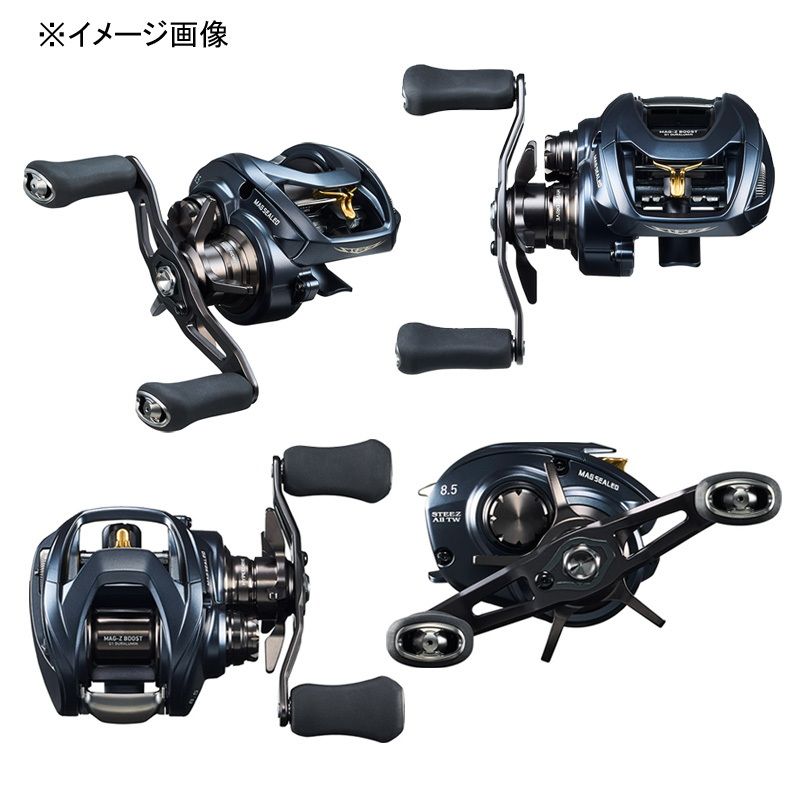 ダイワ(Daiwa)] STEEZ AII TW 1000H(スティーズA2TW) 右ハンドル