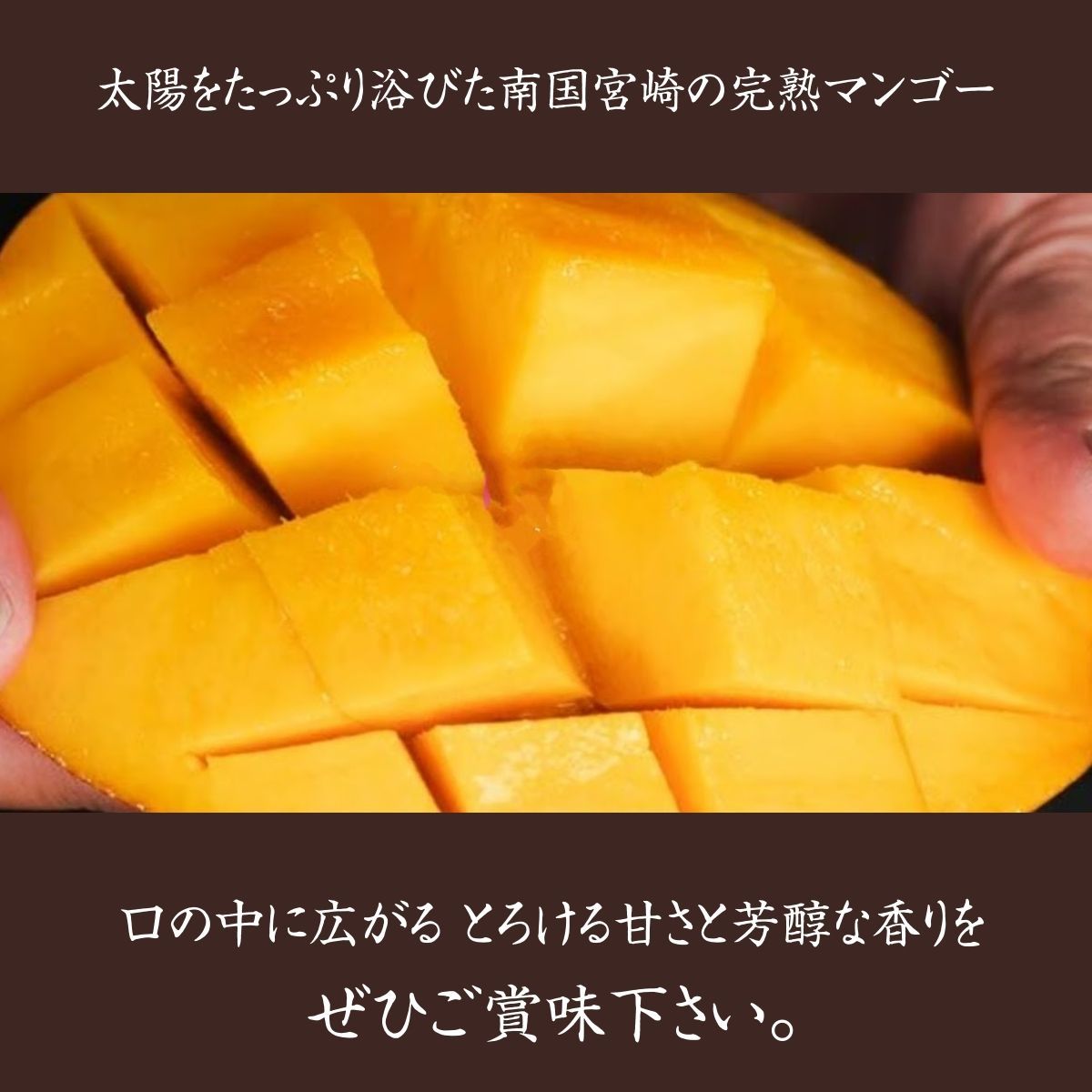 2個 宮崎県宮崎市