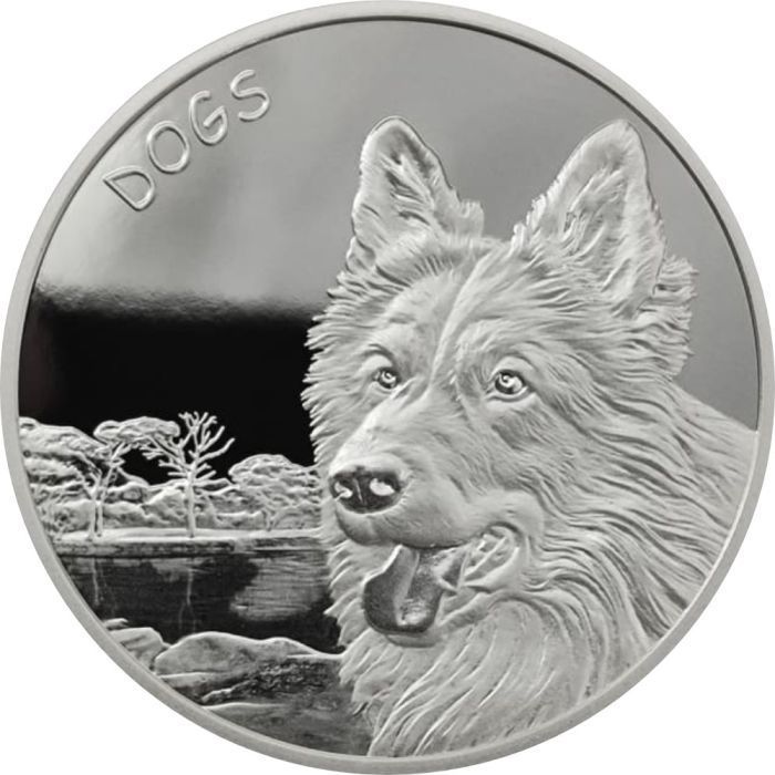 [保証書・カプセル付き] 2023年 (新品) フィジー「犬」純銀 1オンス 銀貨
