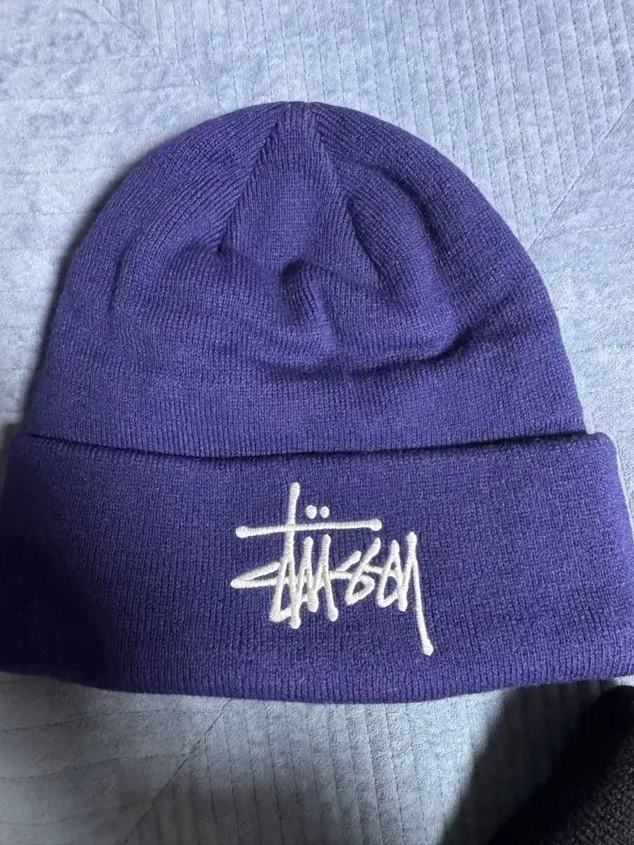 STUSSY(ステューシー) ビーニー 紫の