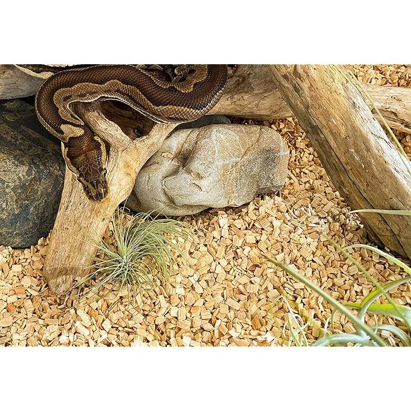 エクストラ ソフトチップ