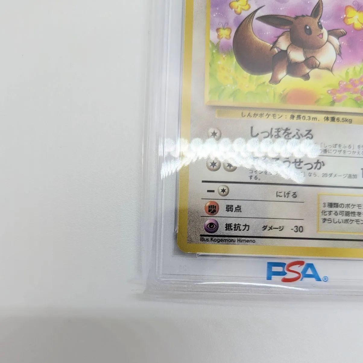 イーブイ 1997 ジャングル PSA10 ポケモンカード 旧裏 旧裏面 ポケカ