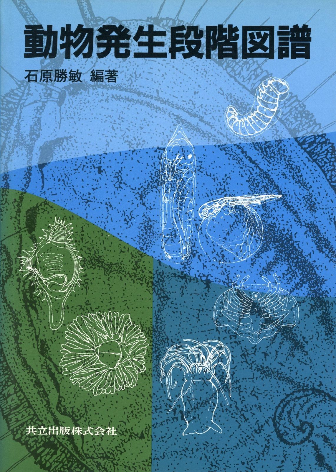 動物発生段階図譜 動物発生段階図譜 ★初版 共立出版株式会社 Japanese Books 細胞の極性化から眺めたマウス着床前の形作りの仕組み