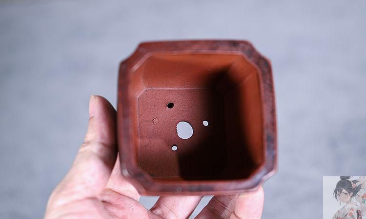 牛頭四角い鉢 多肉植物鉢 紫砂鉢 盆栽鉢 植木鉢 小品盆栽鉢 大品盆栽鉢 中型 盆栽 四角形鉢（流行に 中国宜興 正方形鉢 紫砂鉢 盆栽鉢