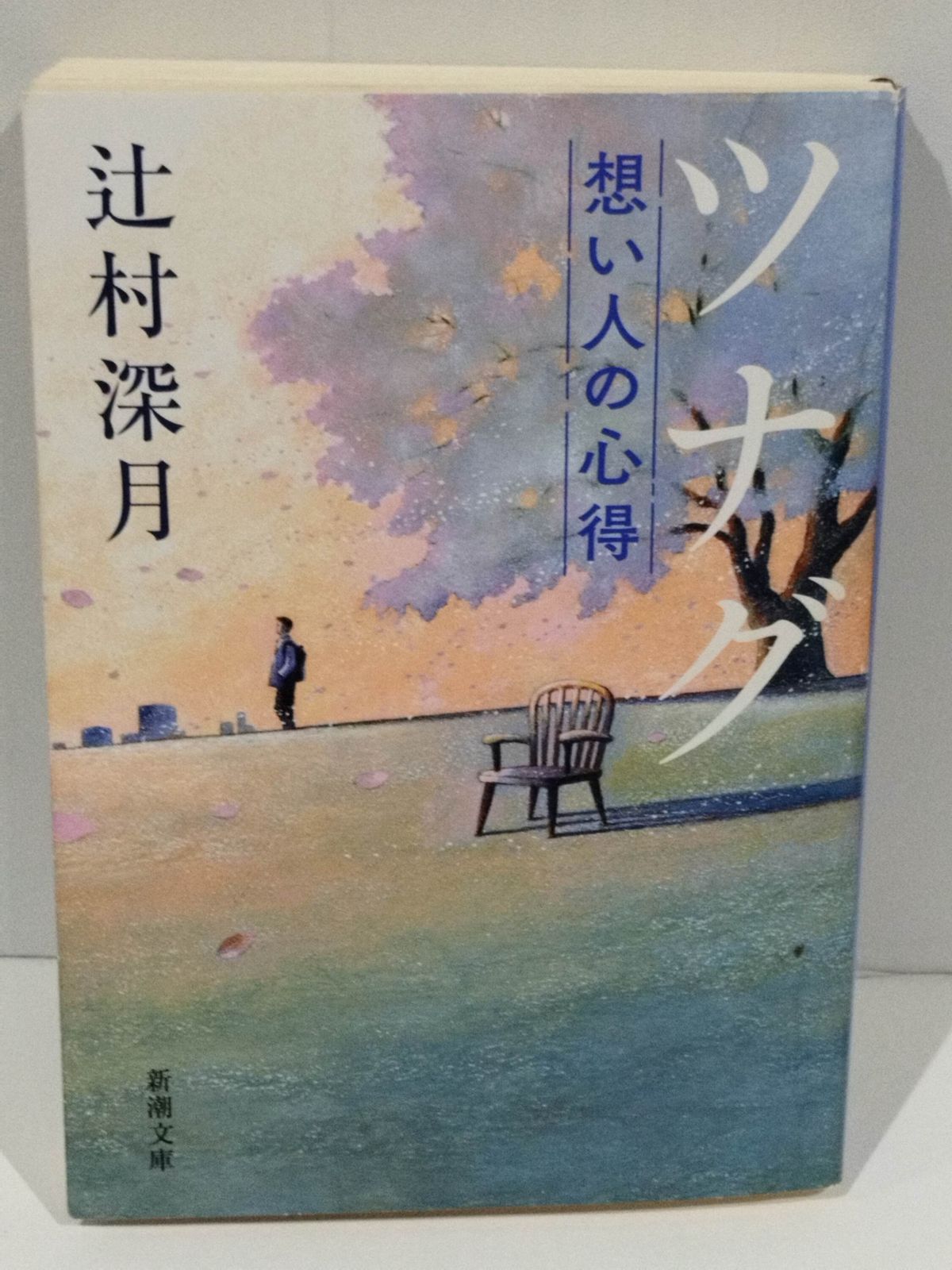 ツナグ 想い人の心得 (新潮文庫)　辻村 深月 　（240919hs)