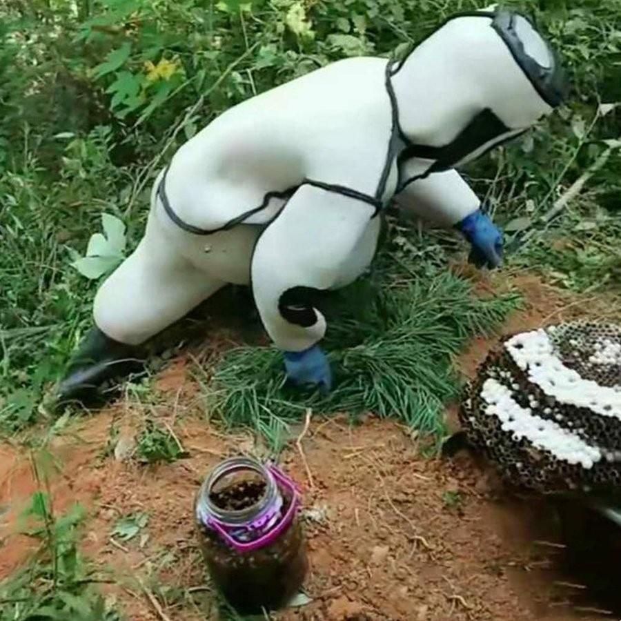 スズメ蜂