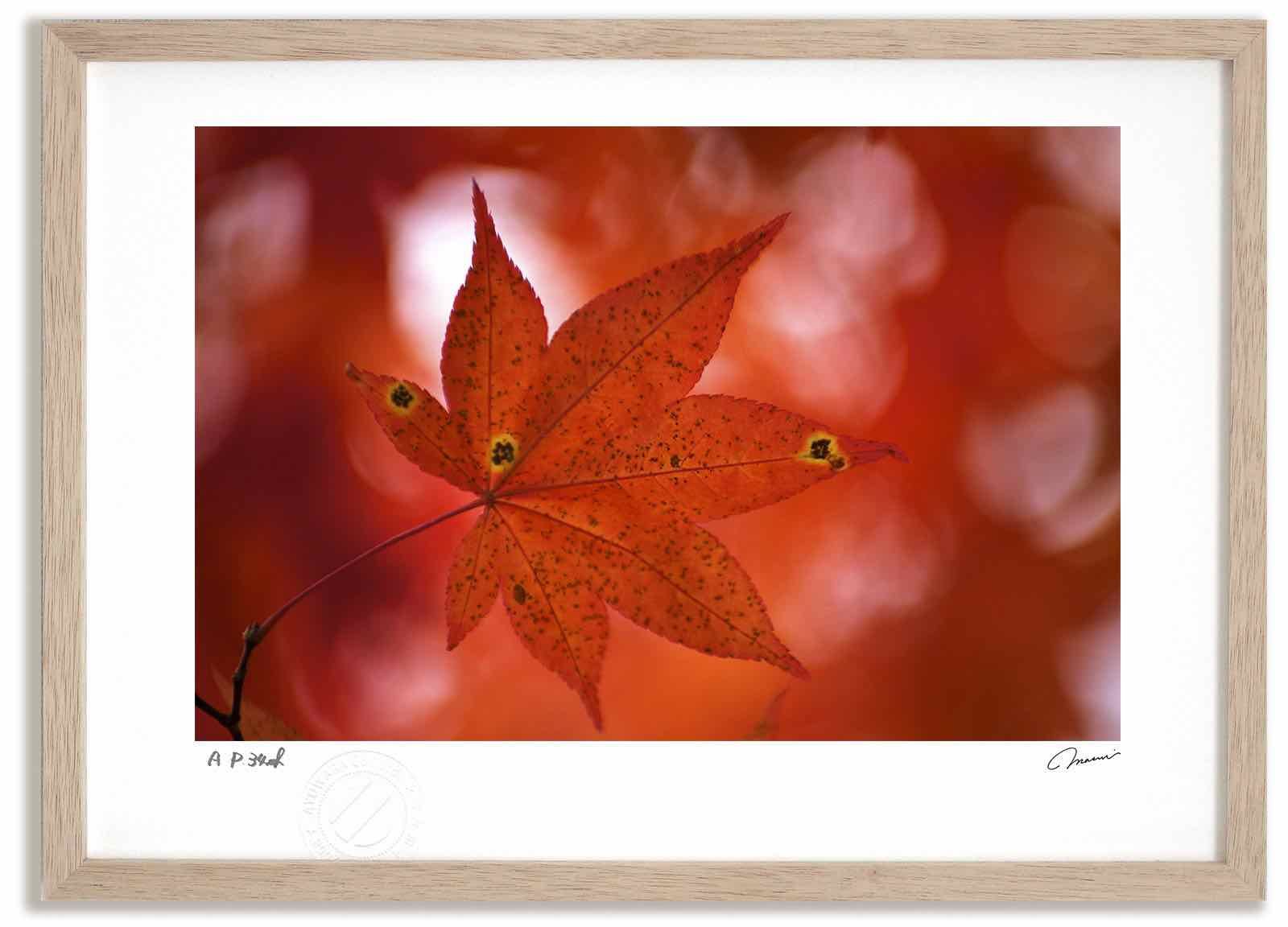 和紙ちぎり絵 貼り絵 山の風景 紅葉 額装 壁掛け インテリア アート 風景画 紅葉の山 絵画 額入り インテリア 和紙ちぎり絵 貼り絵 山の風景 紅葉
