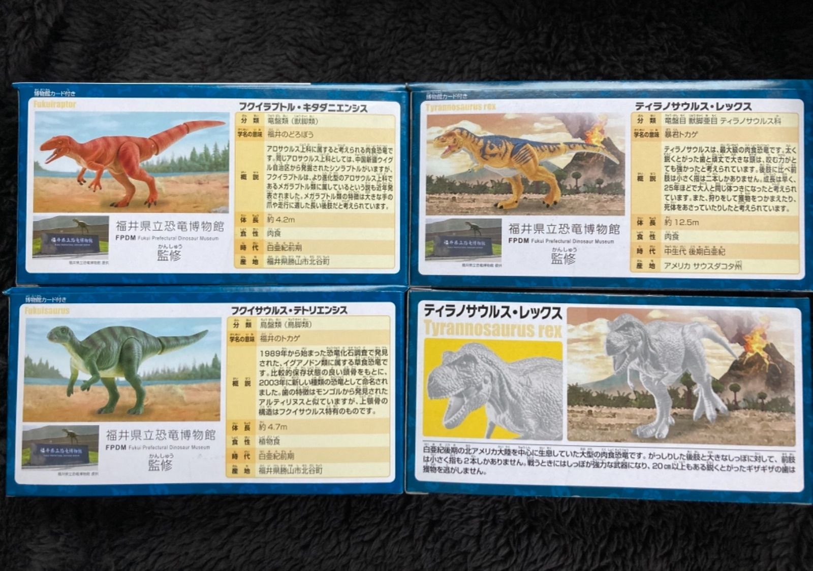新品未開封 福井県立恐竜博物館オリジナルモデルの限定アニア 4