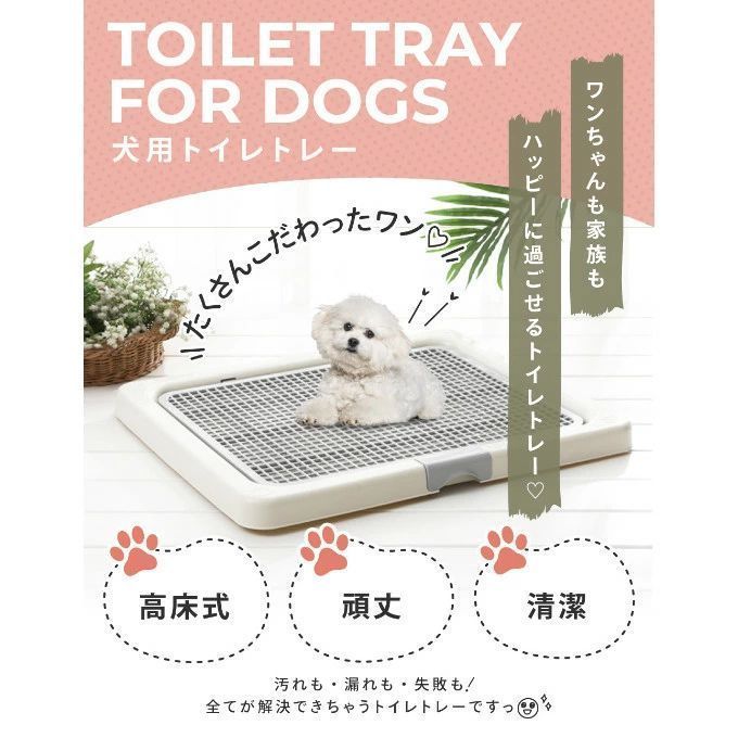 小型犬 中型犬