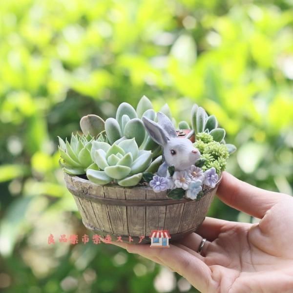 鉢 植木鉢 ポリ製 多肉植物 寄せ植え おすすめ プチオアシスうさぎ 家居の飾り物 母の日 父の日 ギフト YUZUMIYA_COM