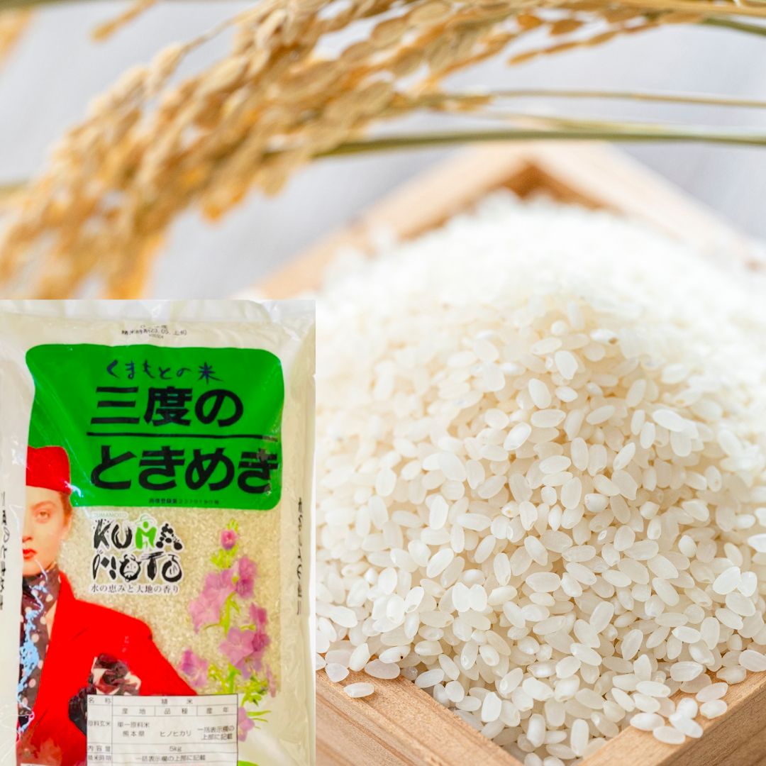 熊本県産 精米 三度のときめき ヒノヒカリ 5キロ×2袋 くまもとの米 新年度産米 白米 単一原料 おこめ お米 購入 熊本 パッケージ変更あり 精米  熊本県産 三度のときめき ヒノヒカリ 5キロ×2袋 くまもとの