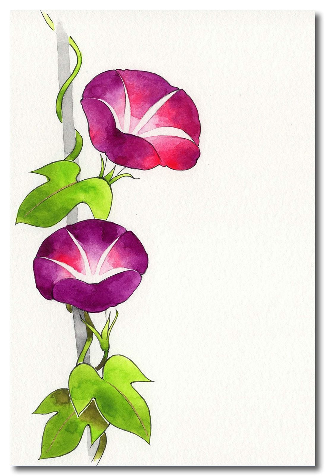 全品送料無料！!  大 吉祥 日本画用絵具 角顔彩 上製 48色