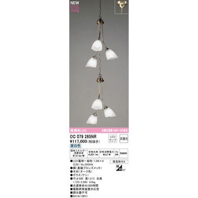 【新品・7営業日以内発送】オーデリック ODELIC OC079265NR ランプ別梱包【沖縄離島販売不可】