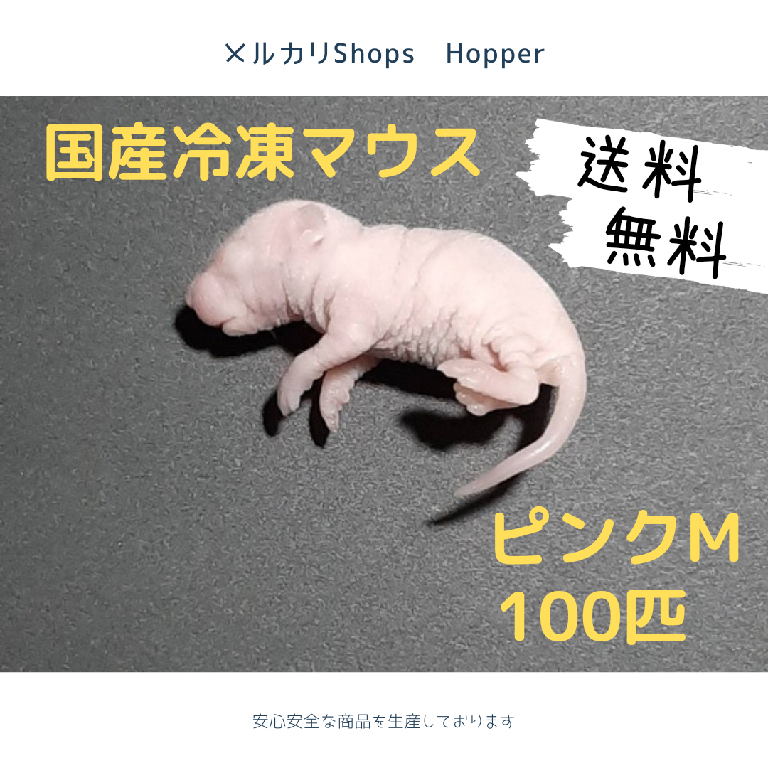 国産冷凍マウス ホッパー 100匹 - 爬虫類・両生類のエサ