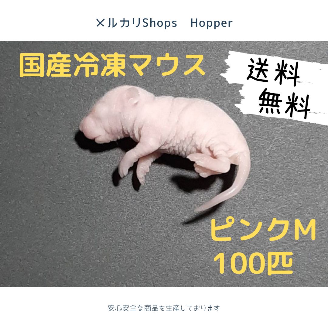 国産 冷凍マウス ピンクM 100匹(北海道沖縄発送可) - メルカリ
