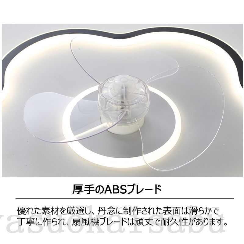 2025新登場