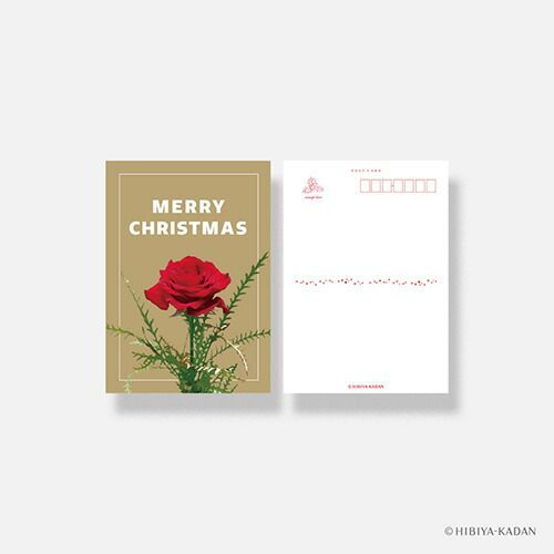 まとめ ダイゴー ポストカード 日比谷花壇 typography-04 A Rose N7743 ×50セット