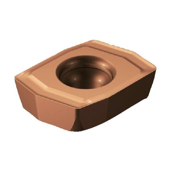 YOSEMITE VALLEY 2025 ヨセミテクライミングガイド YOSEMITE VALLEY