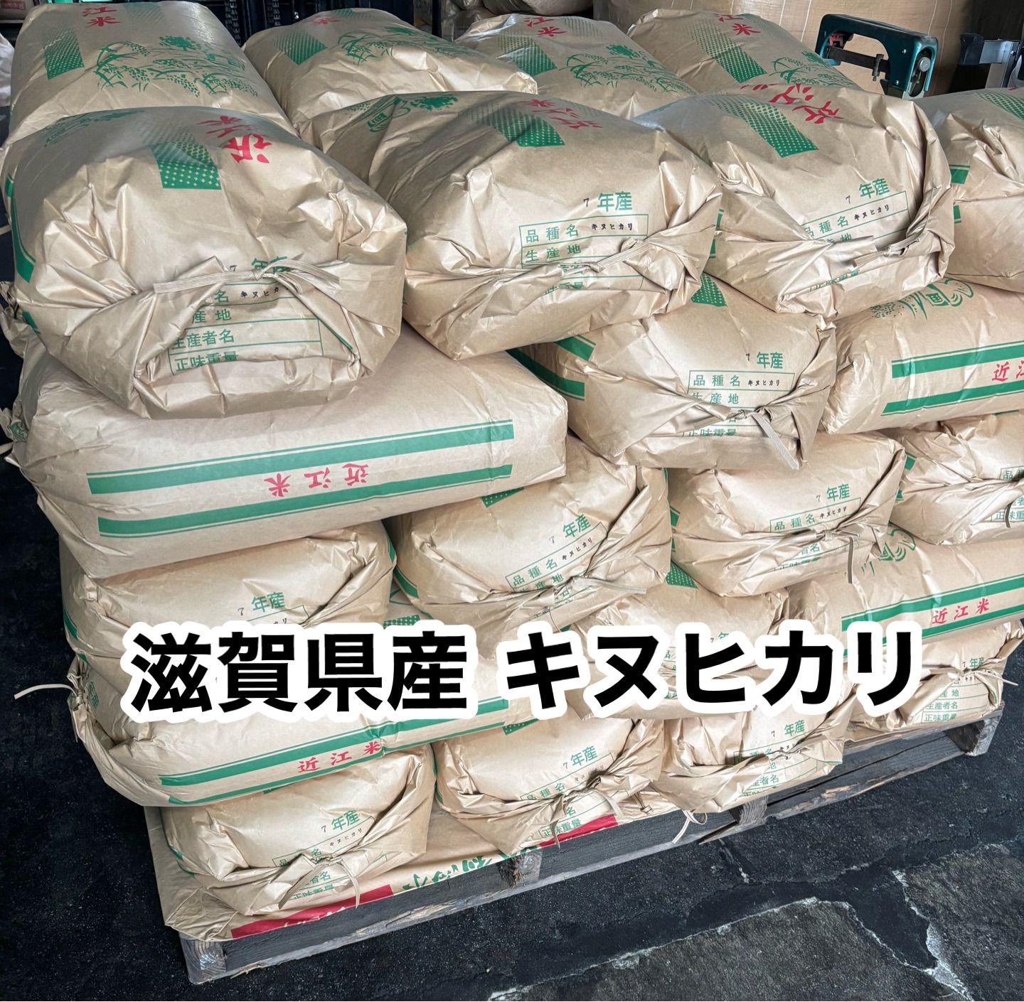 新米 7年産 滋賀県産キヌヒカリ 玄米20kg