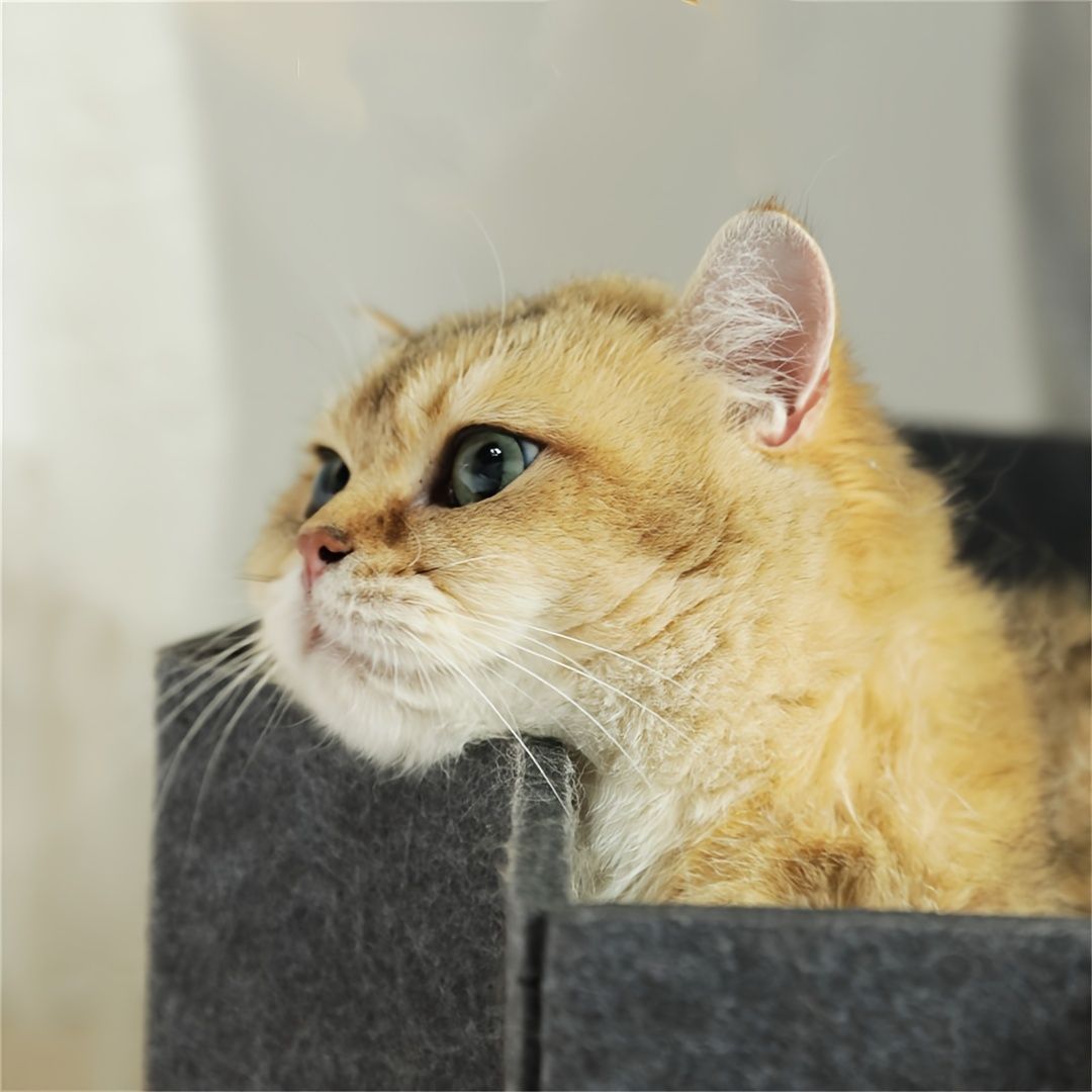 ふわふわ