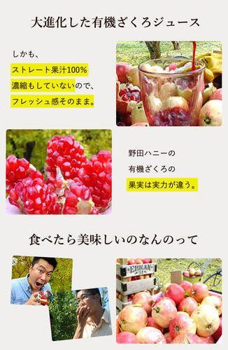 野田ハニー