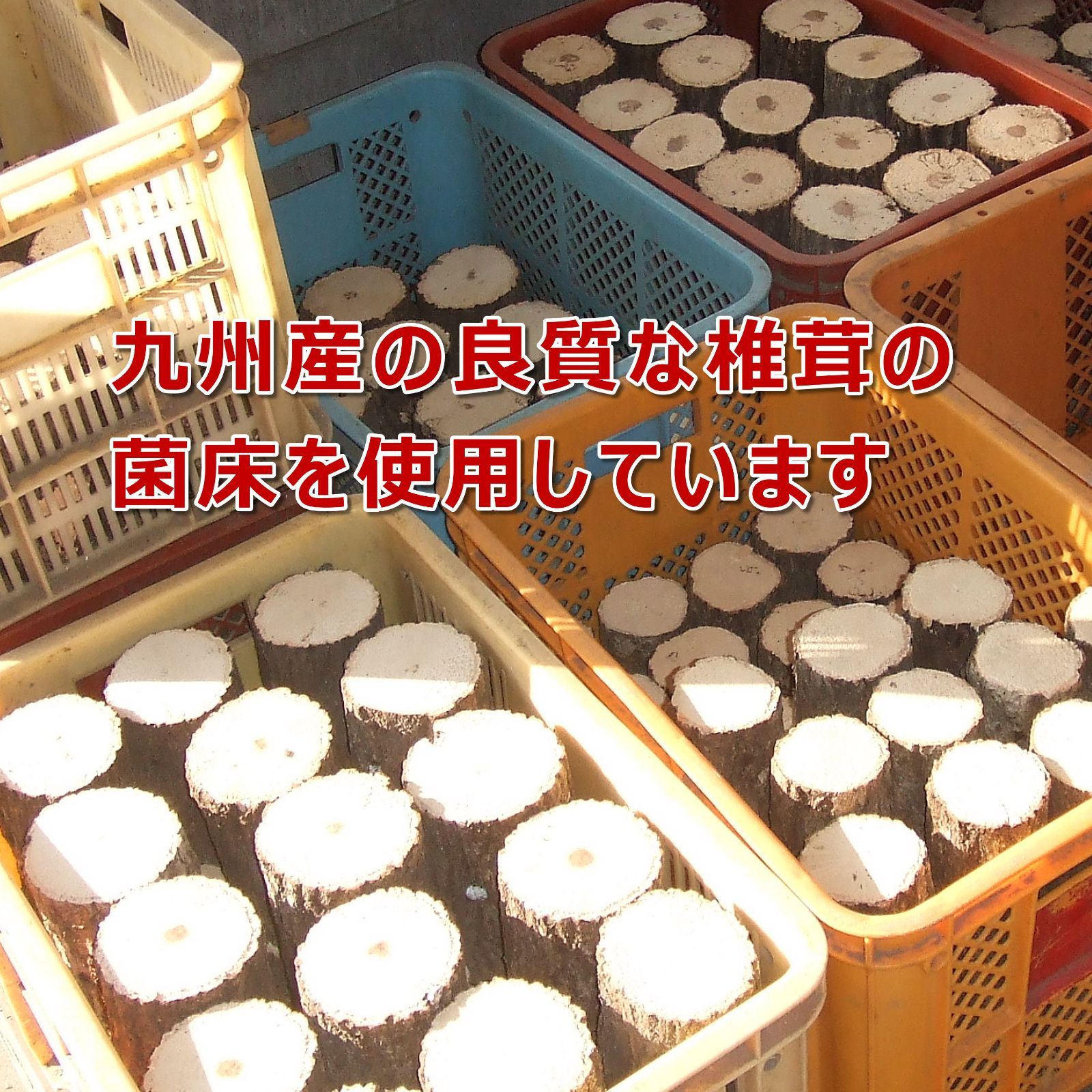 のサムネイル