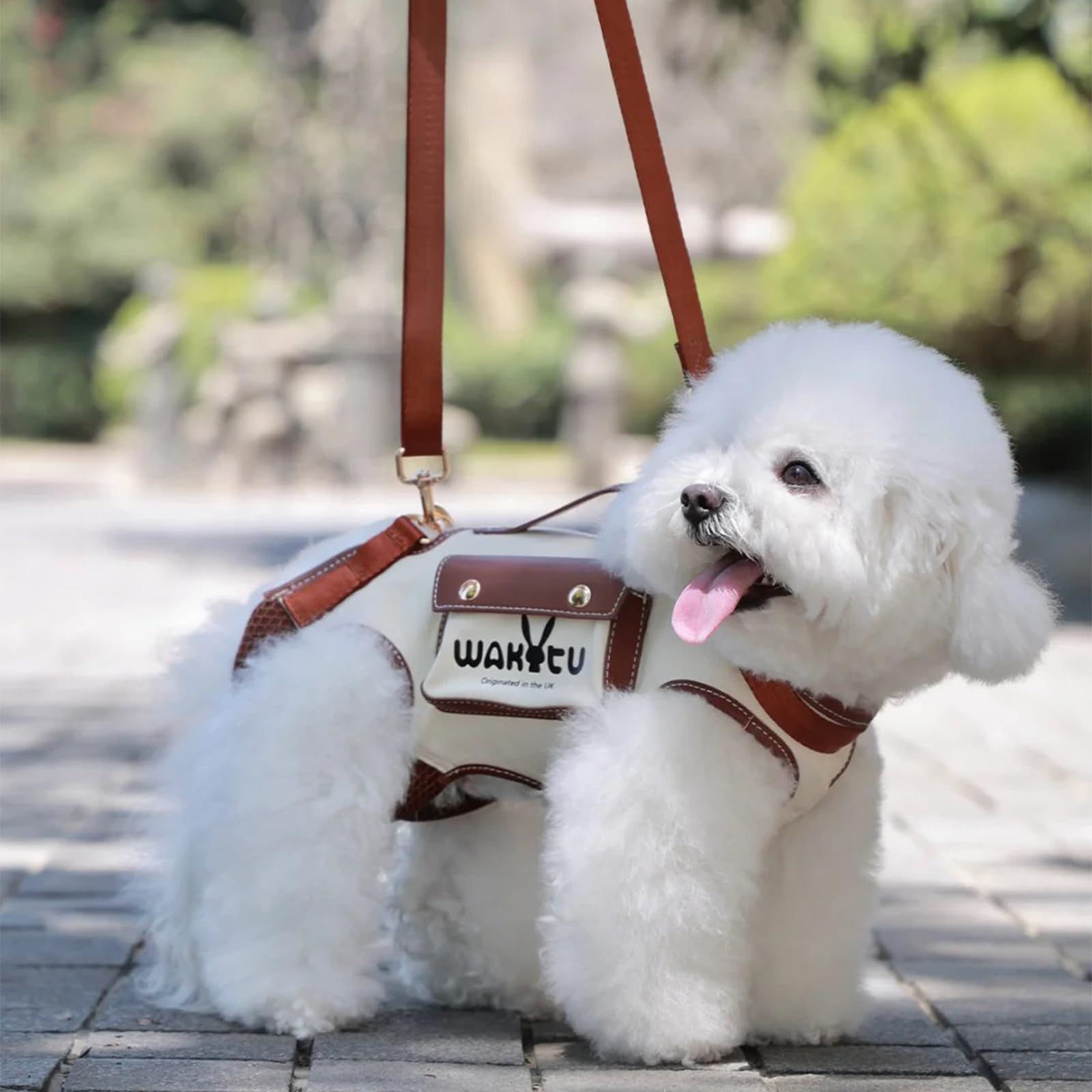 犬用リフトハーネス