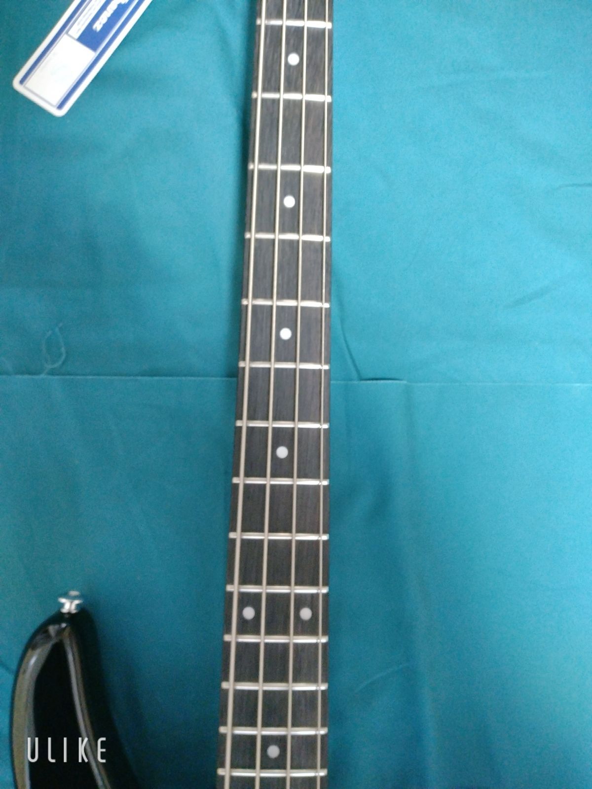 整備・清掃・弦交換済】Bacchus WJB-330R WOODLINE 断ち
