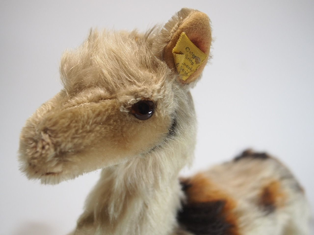 送料無料☆シュタイフ☆Llama 28cm/Lama オールID's完品☆リャマ