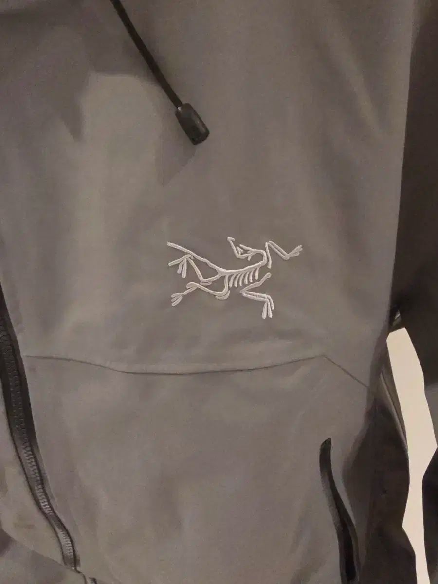 アークス ベータlt スタイル ゴアテックス ウィンドブレーカー 内容필