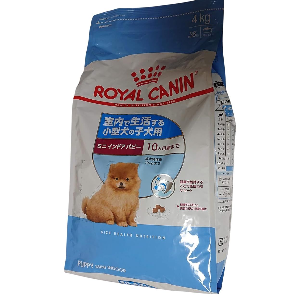 鬼才関野正作 超激レア!! 樹高16㎝ 唐楓 カエデ 小品盆栽 真柏 黒松 紅葉