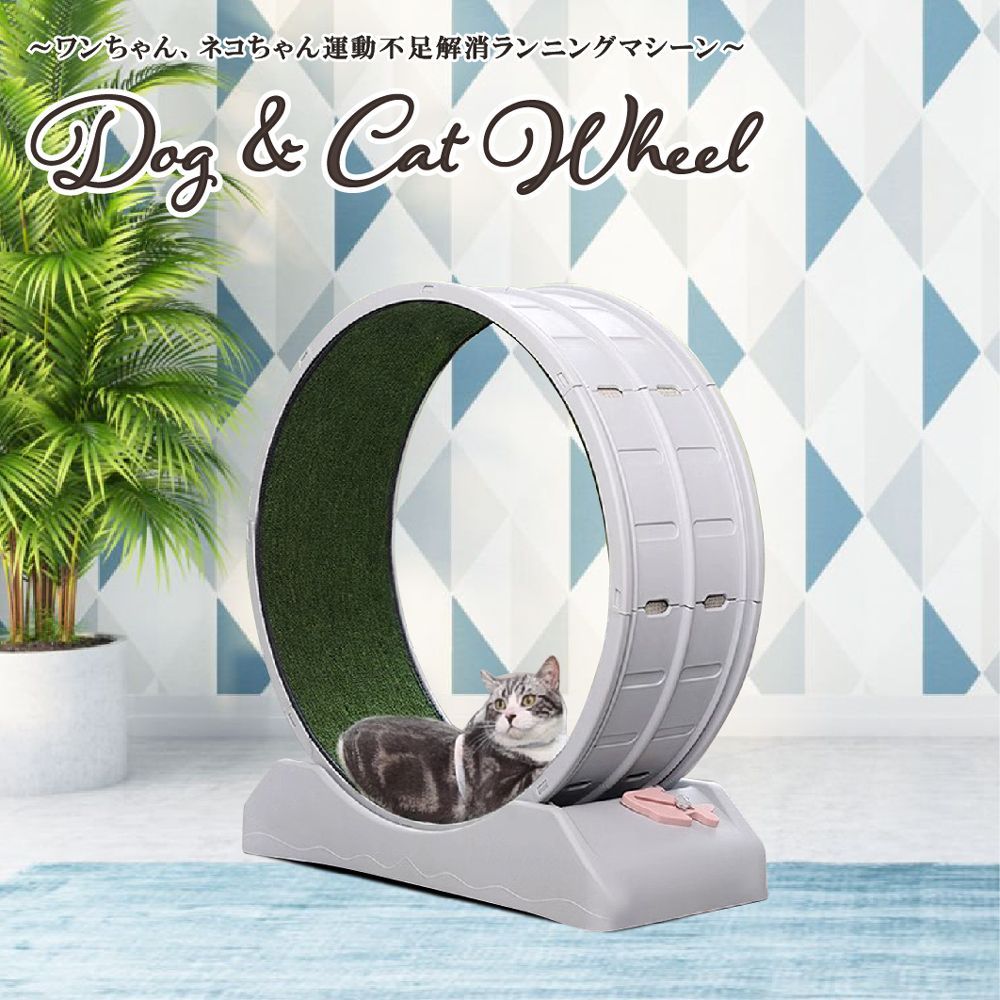 望月穂波 エピカ ePick card Vol.15A 予約商品】ePick card series vol