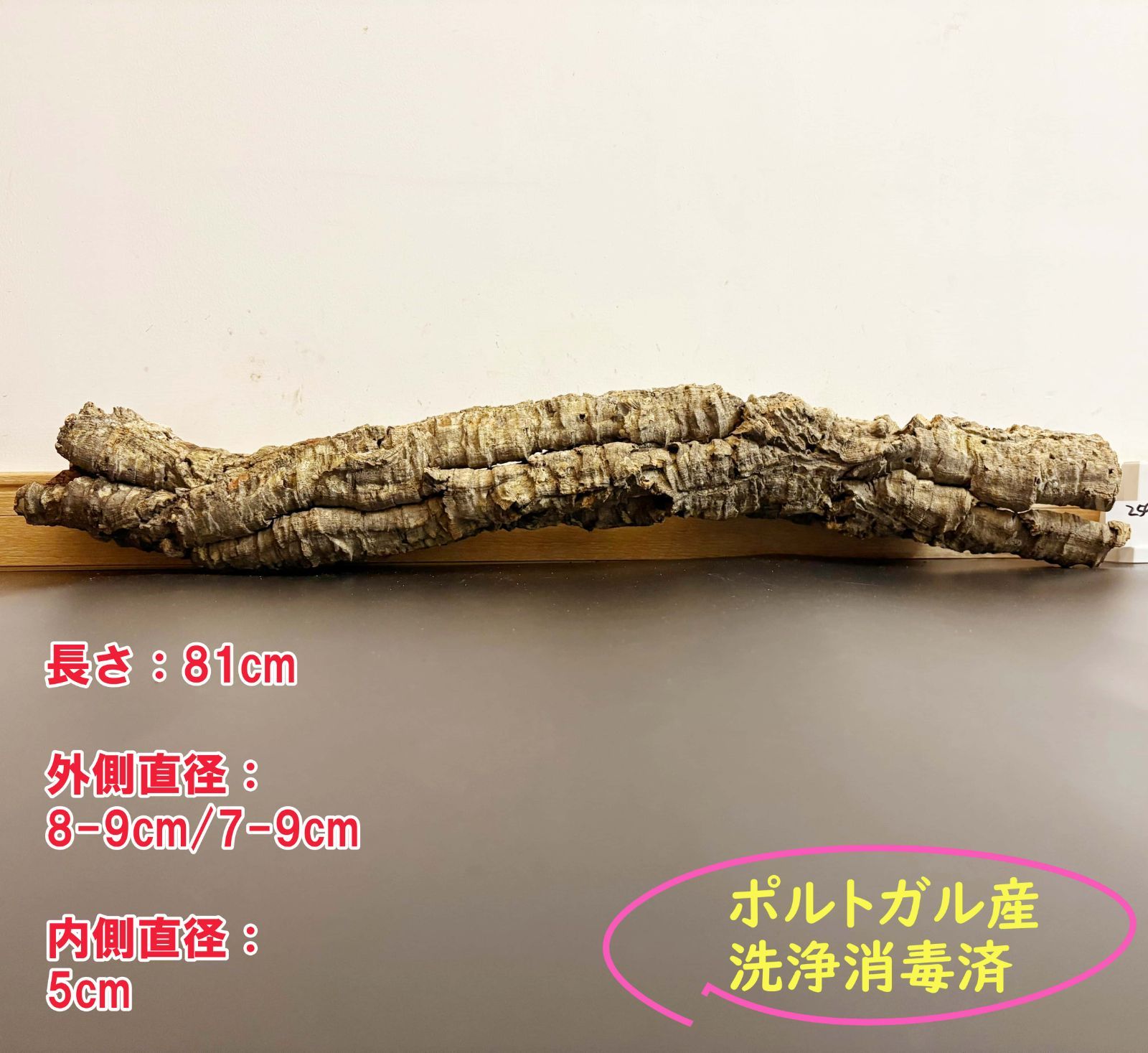 259S25 ポルトガル産 キャノンコルク コルク樹皮 コルク板 バージンコルク 送料無料 チランジア ビカクシダ 着生ラン 両生類 爬虫類