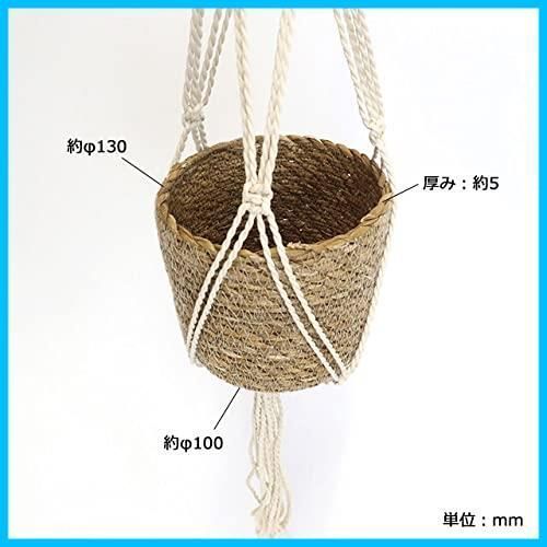 在庫 お部屋のインテリアにマッチした観葉植物をハンギング