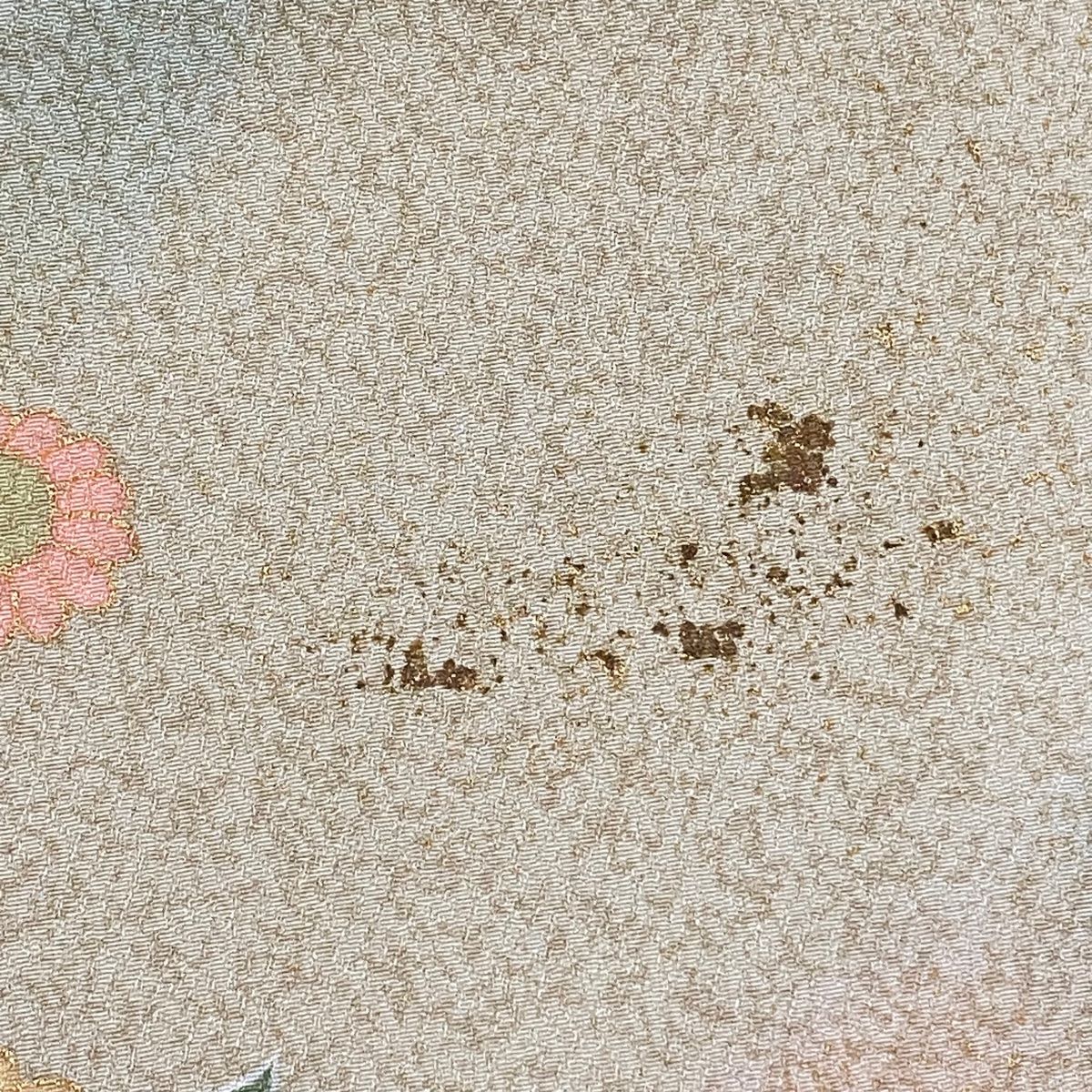 L 袷