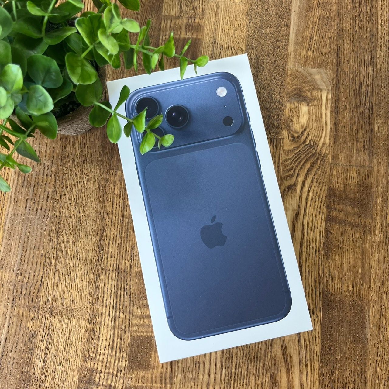 新品・未開封 iPhone17 ProMax 256GB ディープブルー Apple SIMフリー