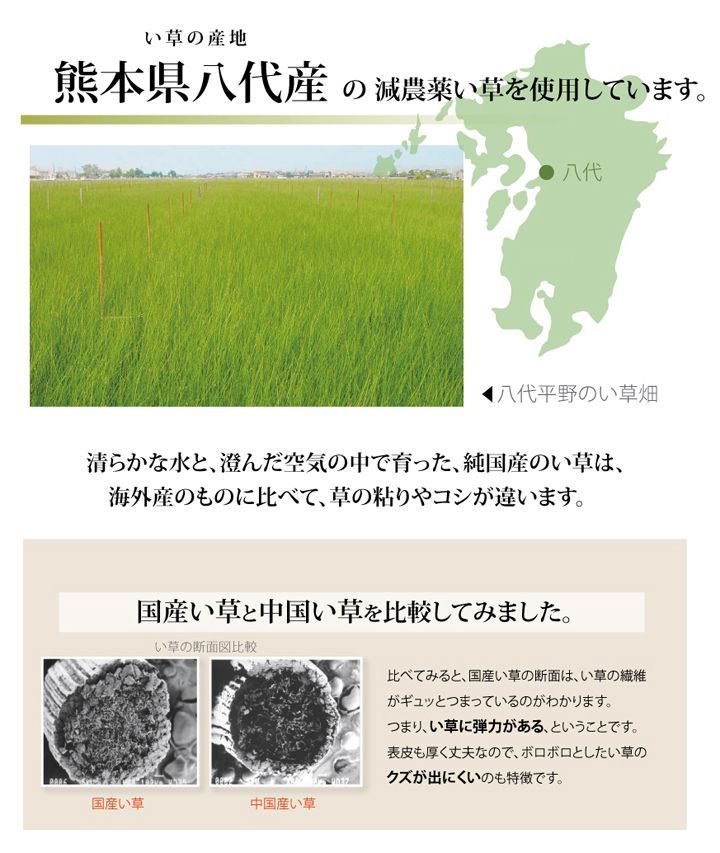 BIK1014182 日本製 国産 純国産 減農薬栽培 い草 上敷き カーペット