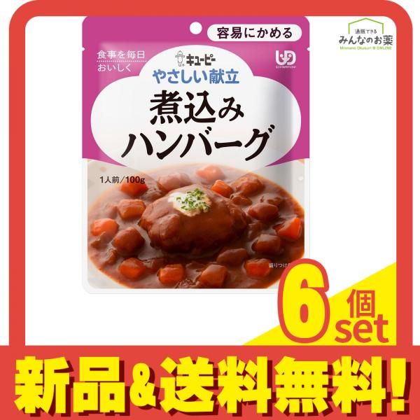 やさしい献立煮込みハンバーグ 100g 6個セット