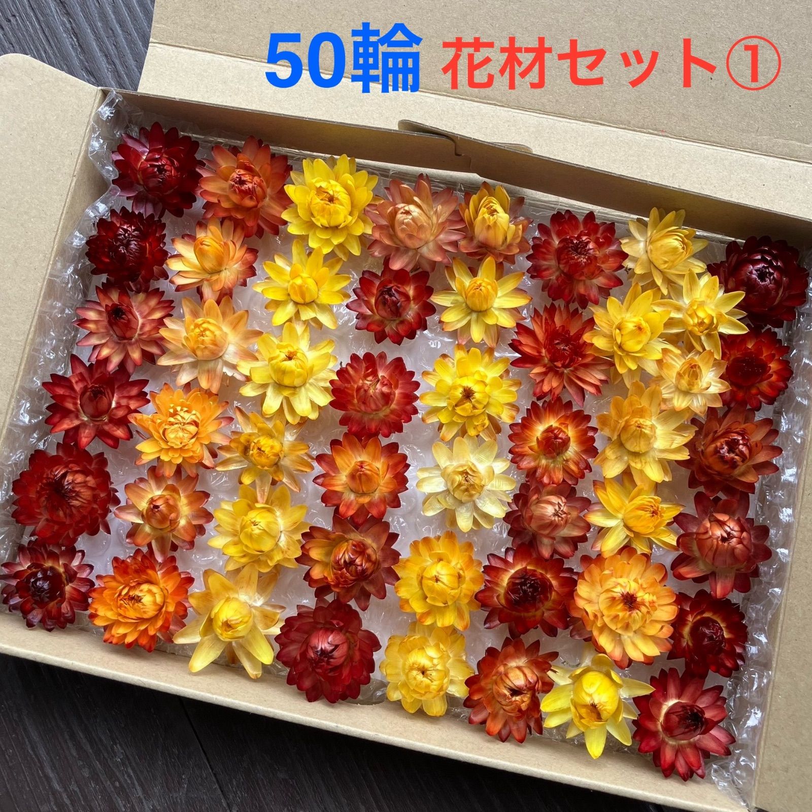 ヘリクリサム貝細工50輪 ドライフラワー花材セット①オレンジミックス 