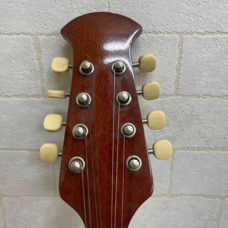マンドリン ブランド名：SUZUKI VIOLIN 型番：M-215 付属品