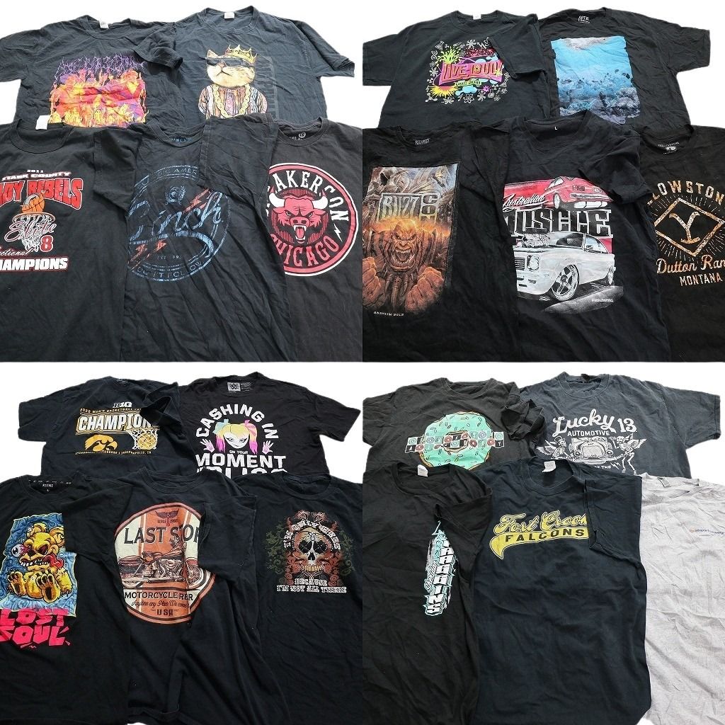 古着卸 まとめ売り 黒・グレー ボディ プリント 半袖Tシャツ 20枚セット (メンズ L ) アニマル 動物 スカル 大判プリント 中古 古着 NA1940