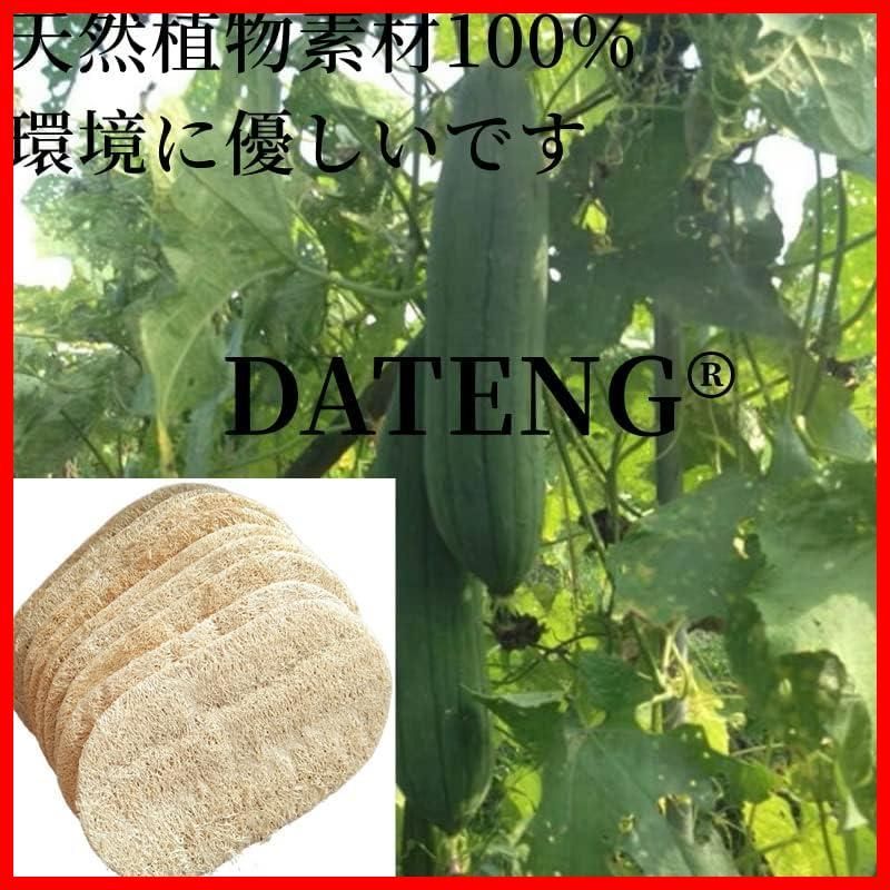  台所用スポンジ キッチンスポンジ 食器洗い 楕円形 天然へちま ヘチマスポンジ ヘチマたわし DATENG 台所用スポンジ たわし 掃除用具