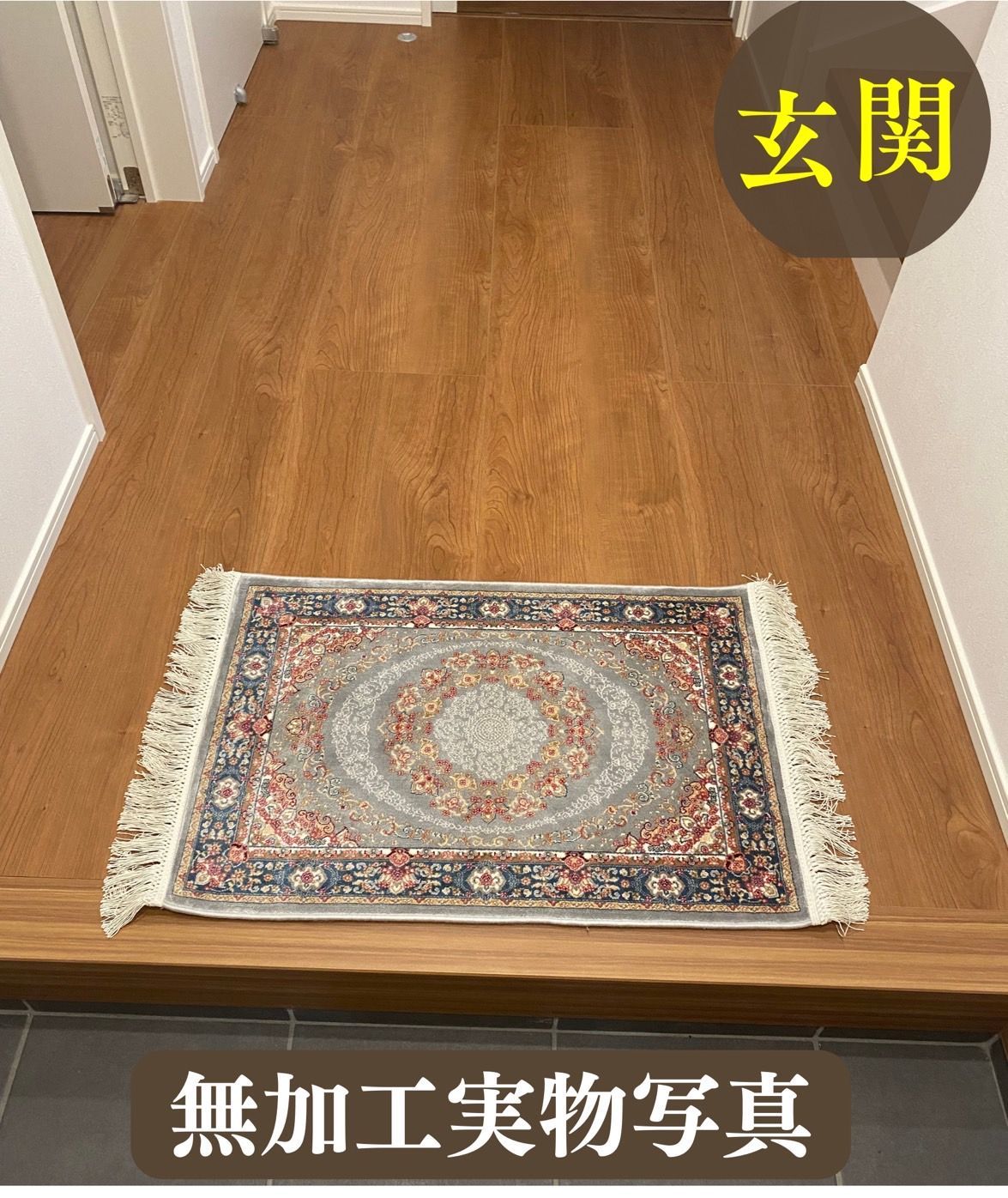 玄関マット Entrance Mat カーペット 絨毯 シルク(50x70cm)-