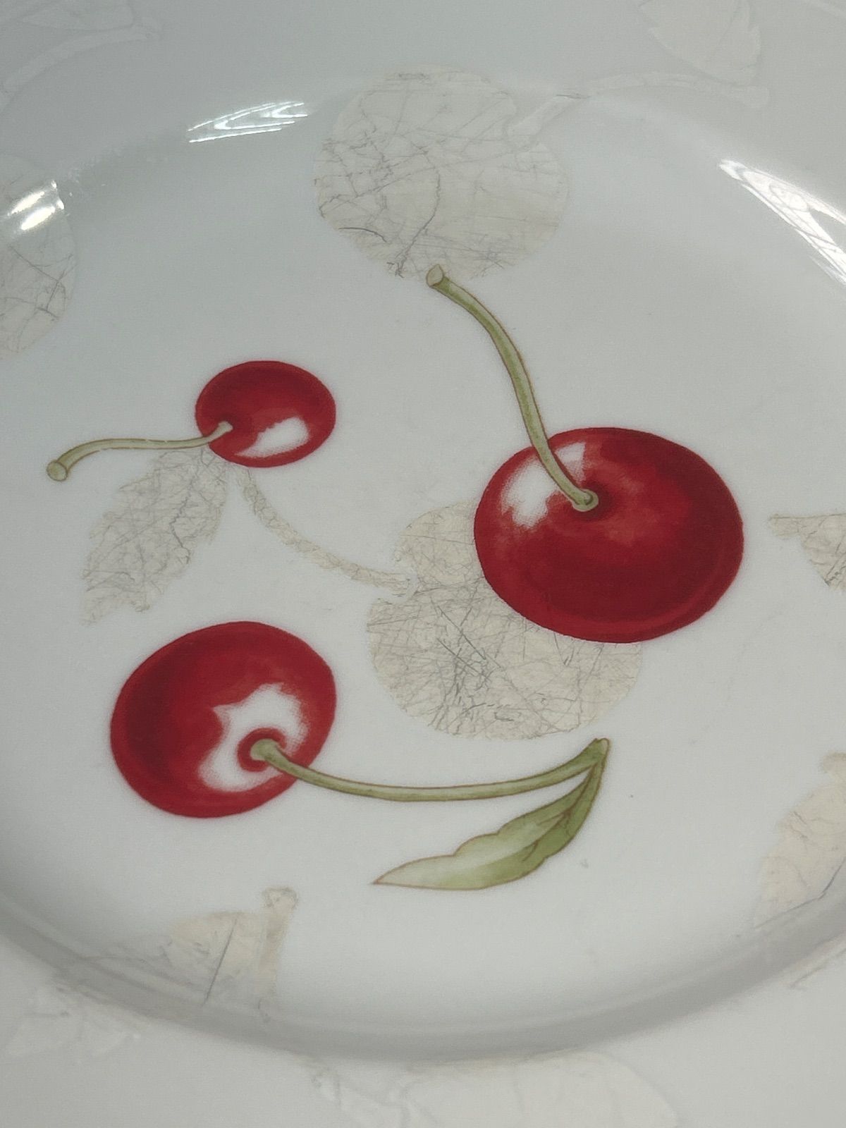 訳あり リチャードジノリ