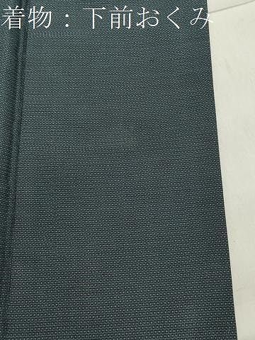  平和屋着物 男性 本場大島紬 アンサンブル 160亀甲 総詰め 正絹 gh 着物セット 着物 浴衣