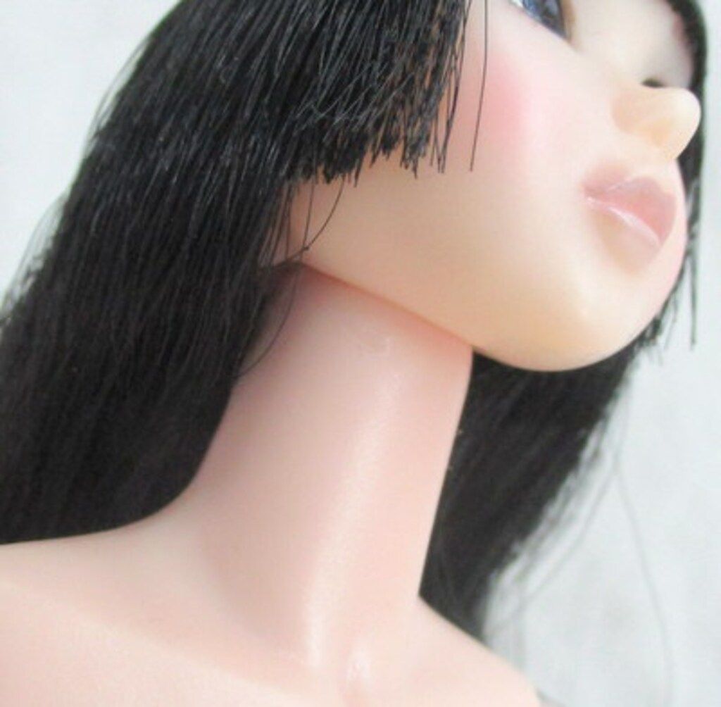 ペットワークス