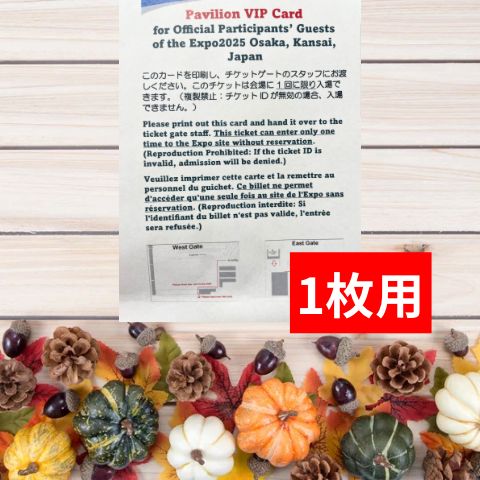 大阪関西万博 Pavillion VIP Card 【1名様分】 現在予約が満員で入れ  