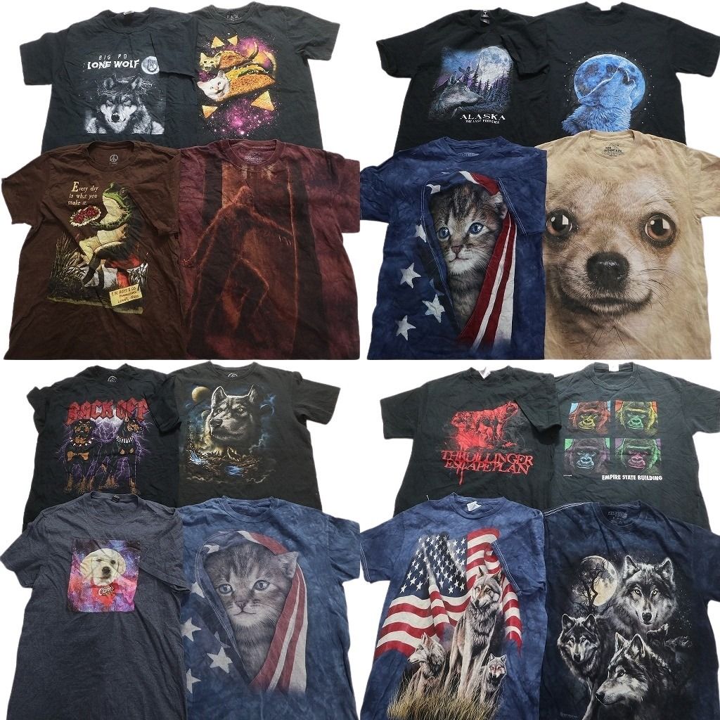 古着卸 まとめ売り アニマル 動物 半袖Tシャツ 16枚セット (メンズ M ) 大判プリント 犬 猫 星条旗 オオカミ 中古 古着 MY8393
