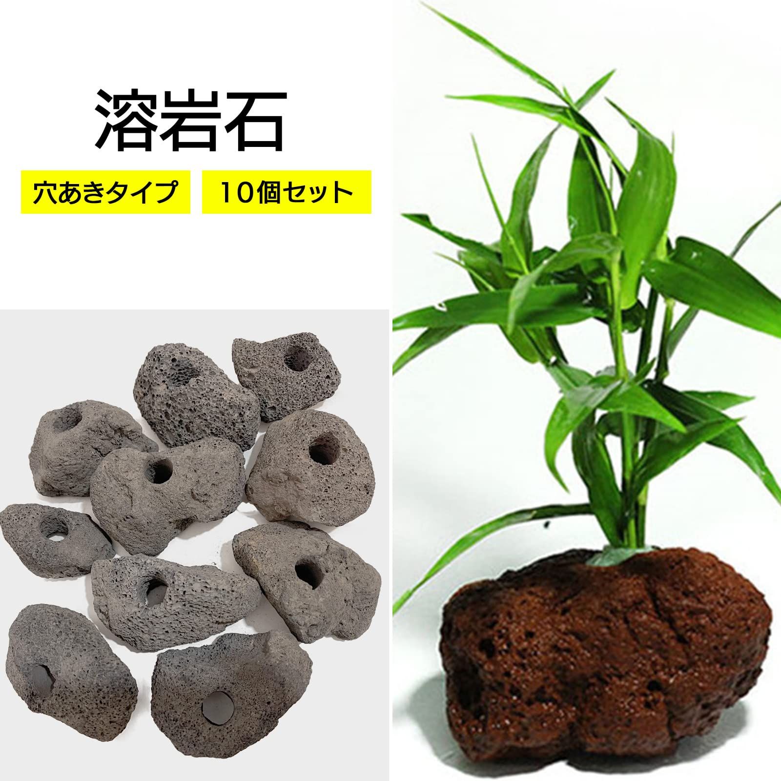 モデルノ ラ テール 溶岩石 穴あき アクアリウム オブジェ 置物 水槽