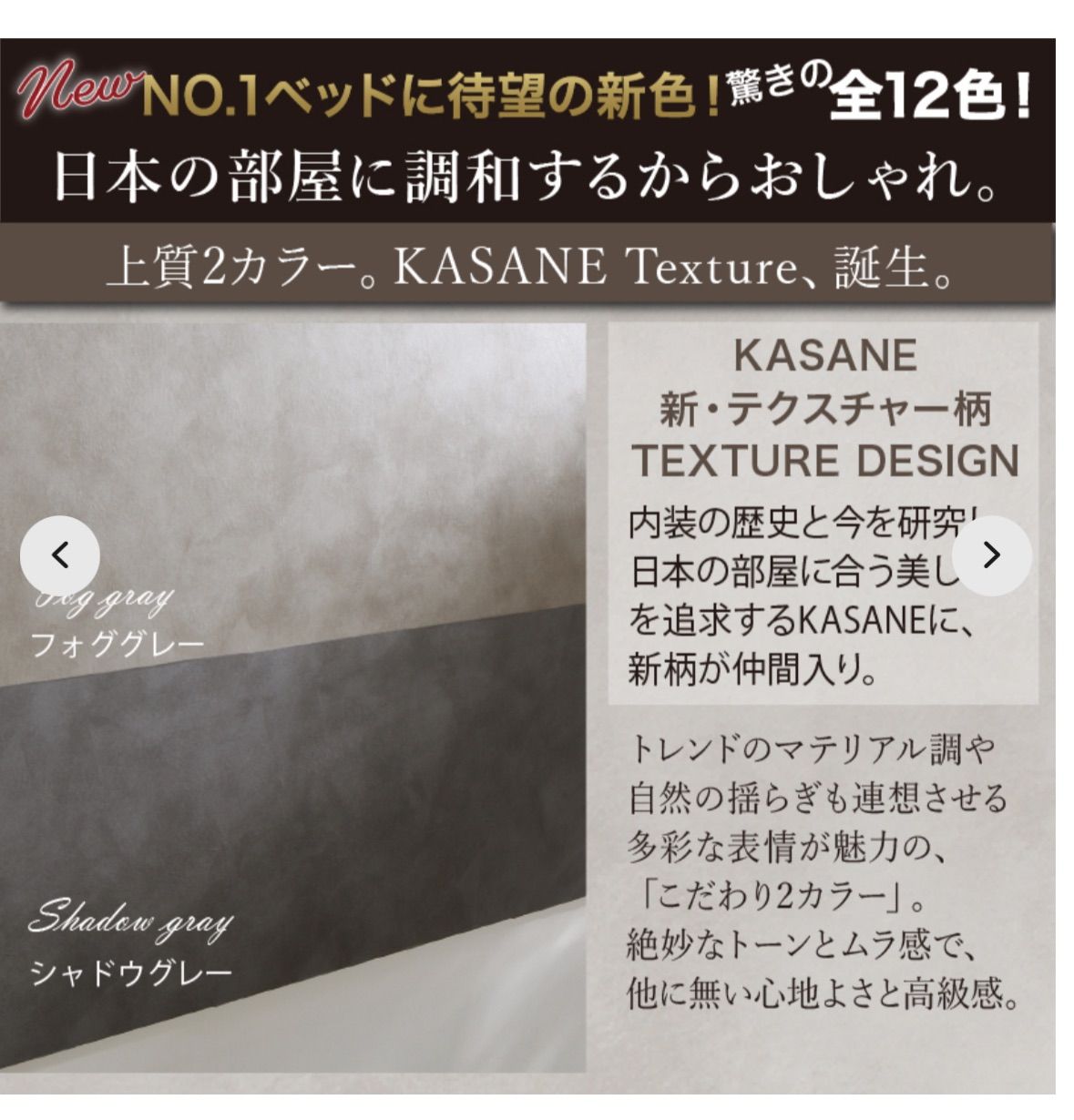 棚コンセント付き引き出し収納ベッド Ever